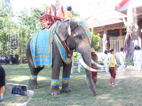 3 พฤศจิกายน 2565 งานเทศกาลศิลปวัฒนธรรมพื้นบ้านนานาชาติ