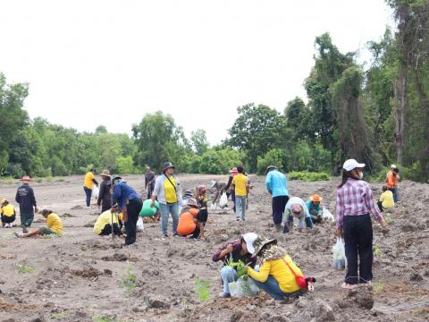 14 กรกฎาคม 2566 โครงการปลูกป่าเฉลิมพระเกียรติ